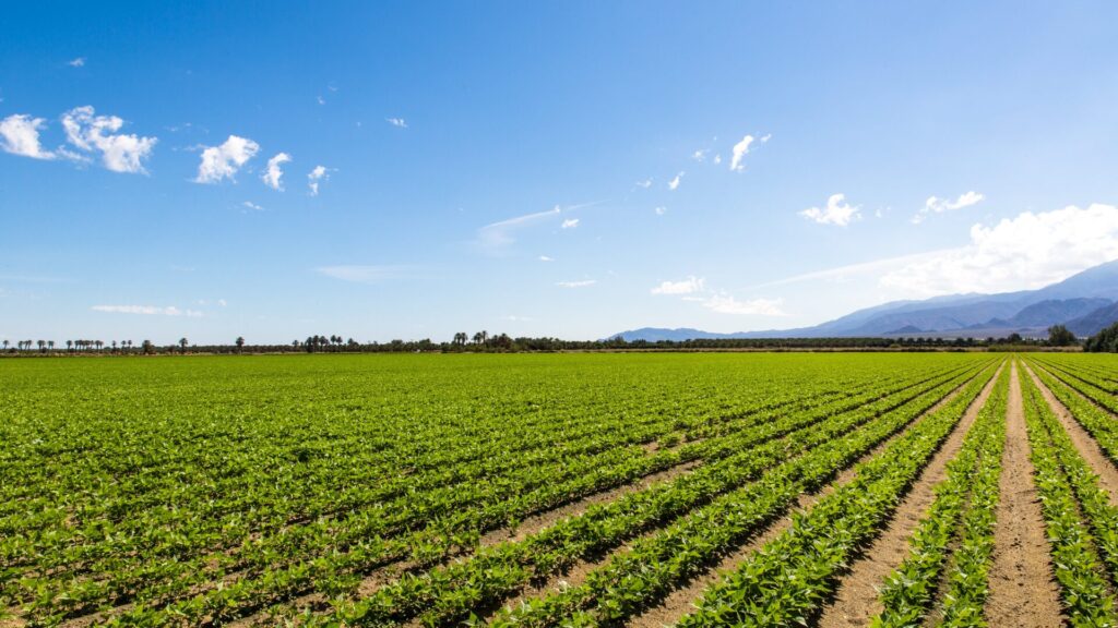 Abreu Advogados hosts B-Rural Communication Day